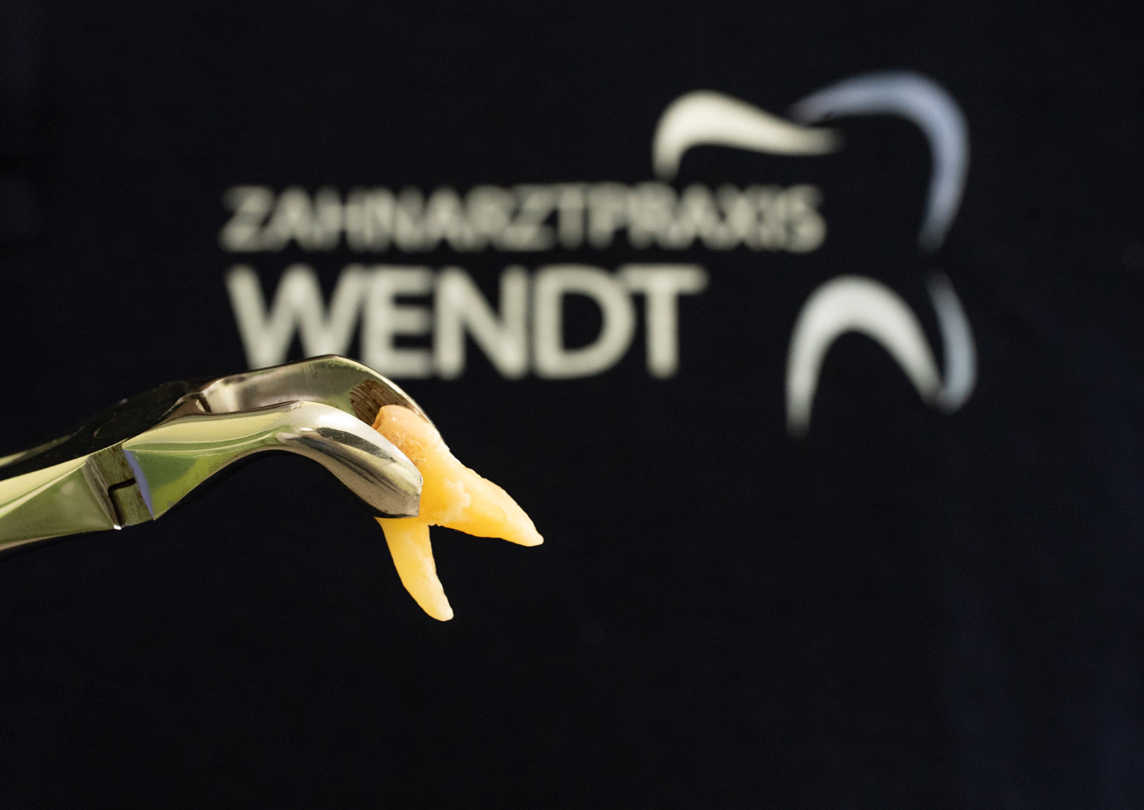 Eine Zahnzange hält einen extrahierten Zahn vor dem Hintergrund "Zahnarztpraxis Wendt".